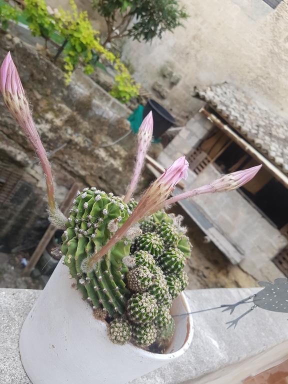 La Bomboniera Holiday Home Matera Eksteriør bilde